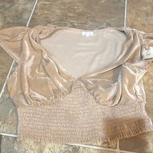 Aerie Shimmering Tan Crop Top